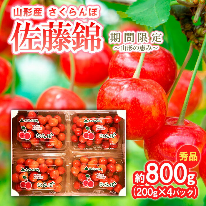 ڤդ뤵Ǽǡۤܡںƣӡ800g (200g4ѥå) ָηäߡ 6ǯͽFU23-017 ե롼  ʪ  ͽ    ̵ 