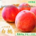 【ふるさと納税】山形市産 白桃 秀品 約3kg [やや硬め]