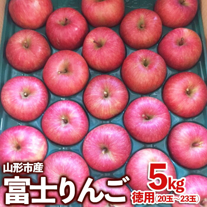 山形市産 富士りんご 無袋 徳用 5kg(20玉〜23玉) fz23-037 果物 くだもの フルーツ りんご リンゴ お取り寄せ 送料無料 1万円 1万 10000円