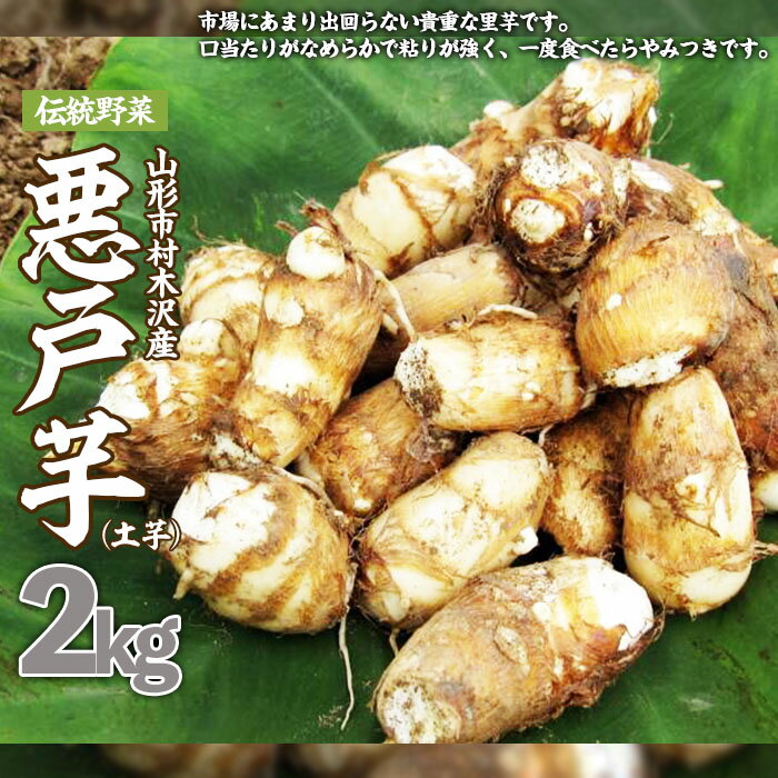 山形市の伝統野菜 村木沢の「悪戸芋」ねっとり食感里芋 2kg fz23-093