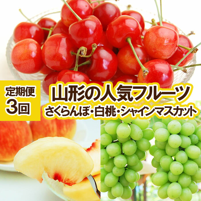 ★定期便3回★山形の人気フルーツ(さくらんぼ・白桃・シャインマスカット)[令和8年産先行予約]FU23-310くだもの 果物 フルーツ 山形 山形県 山形市 お取り寄せ 先行予約 2026年産