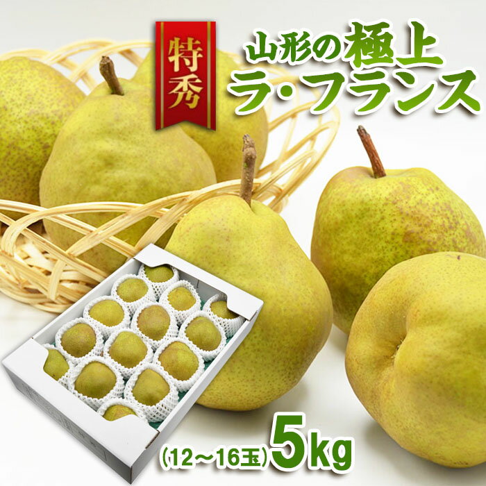 【ふるさと納税】【特秀】山形の極上 ラフランス 特秀品 約5kg(12～16玉) fz23-319 洋梨 ラ・フランス 果物 くだもの…