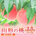 【ふるさと納税】山形の桃 [硬め] 約1.5kg(4～7個)