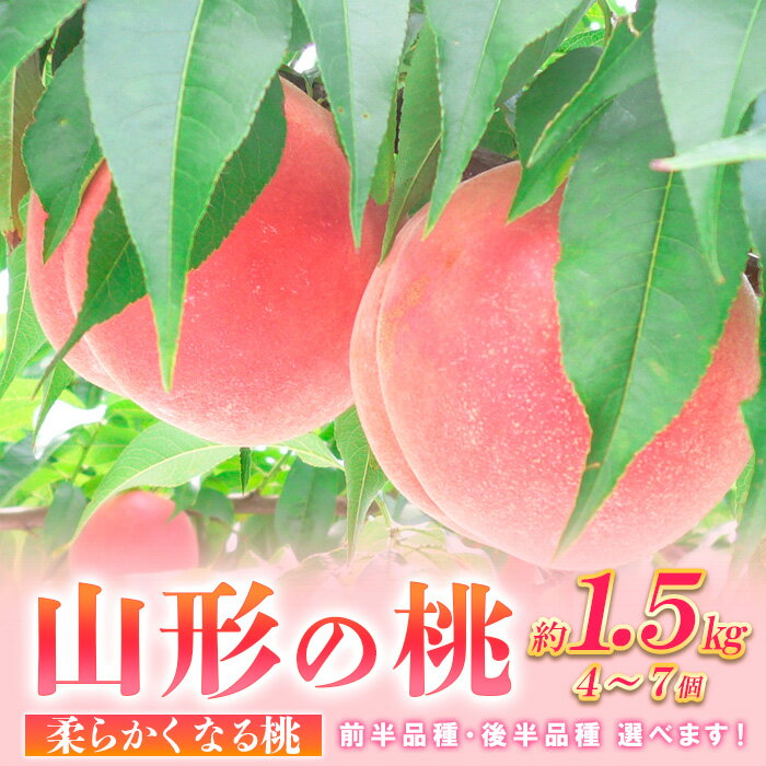 【ふるさと納税】山形の桃 [柔らかめ] 約1.5kg(4～7個) 【令和6年産先行予約】FU23-358 フルーツ くだもの 果物 お取り寄せ 先行予約 1万円 1万 10000円 山形 山形県 山形市 送料無料 桃 もも モモ