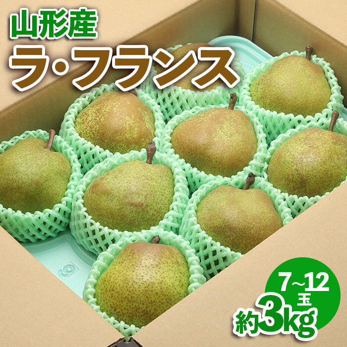 山形産 ラ・フランス約3kg | 産地直送 旬 2024年発送 fz23-541