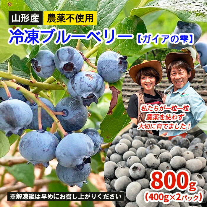 【ふるさと納税】山形産 農薬不使用 冷凍ブルーベリー【ガイアの雫】800g(400g×2)★真空包装★ FZ23-581