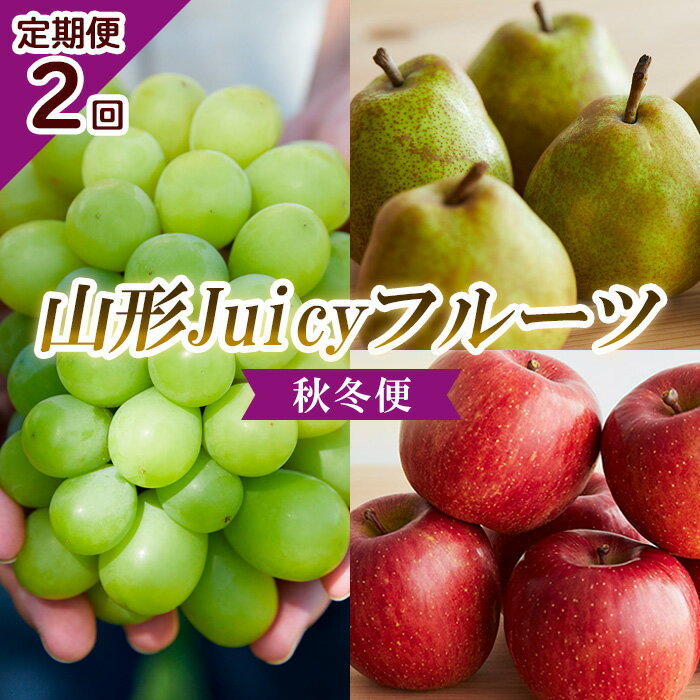 【ふるさと納税】【定期便2回】山形 Juicyフルーツ 秋冬便 【令和6年産先行予約】FU23-625 フルーツ くだもの 果物 お取り寄せ 先行予約 山形 山形県 山形市 ぶどう 葡萄 ブドウ シャインマスカット 大房 洋梨 洋なし ラフランス ラ・フランス ふじりんご リンゴ 林檎