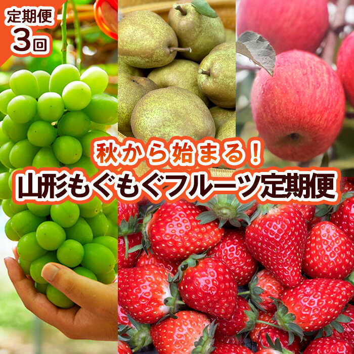 【ふるさと納税】【定期便3回】秋から始まる！山形もぐもぐフルーツ定期便 【令和6年産先行予約】FU23-626 フルーツ くだもの 果物 山形県 山形市 ぶどう 葡萄 ブドウ シャインマスカット 洋梨 ラフランス ラ・フランス ふじりんご リンゴ 林檎 いちご イチゴ 苺 とちおとめ