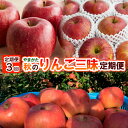 【ふるさと納税】【定期便3回】やまがた秋のりんご三昧 fz2