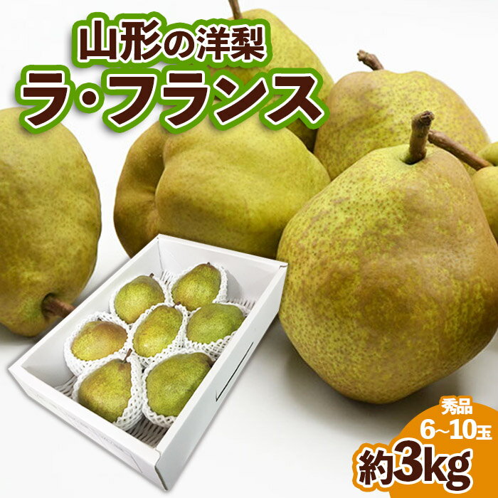 ラ・フランス 【ふるさと納税】山形の洋梨ラフランス 秀品 約3kg (6～10玉) fz23-650