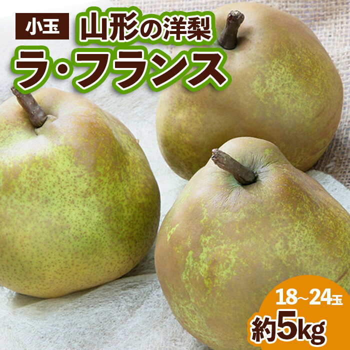 ラ・フランス 【ふるさと納税】山形の洋梨 ラフランス 優品 約5kg (小玉2L～M/18～24玉) fz23-652