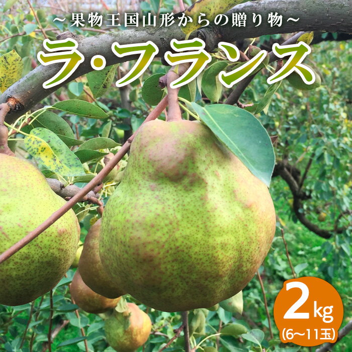 42位! 口コミ数「0件」評価「0」～果物王国山形からの贈り物～ラ・フランス 秀 2kg FY23-708