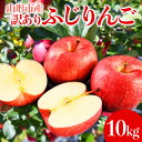【ふるさと納税】山形市産 家庭用 【訳あり・ふじりんご】10kg (32~56玉)※数量限定 FY25-847