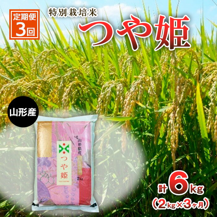 【ふるさと納税】【定期便3回】特別栽培米 つや姫 2kg×3ヶ月(計6kg) FY23-749 山形 お取り寄せ 送料無料 ブランド米 山形市 山形県 精米 1