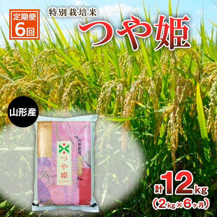 【ふるさと納税】【定期便6回】特別栽培米 つや姫 2kg×6