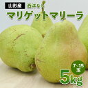 商品説明 名称 洋梨 産地名 山形産 内容量 【令和6年産】 西洋なし マリゲットマリーラ 秀 5kg(7個～15個) 発送期間 2024年09月05日頃～2024年10月05日頃 ※天候や収穫状況により配送時期が前後する場合がございます。 配送方法 常温 提供元 株式会社丸勘山形青果市場 西洋なしで生産量のトップはラ・フランスですがラ・フランスが主格出荷する前に出てくる品種です。 マリゲットマリーラもラ・フランスに負けないくらい香がゆたかで追熟させると甘く独特な美味しさです。 事業者：株式会社丸勘山形青果市場 ◆必ずお読みください◆ ◎お受け取り後はすぐに中身をご確認ください。 ◎天候や収穫等の状況によりご希望のお品をご用意できない場合であっても、税金の控除等に影響の無いよう、代替品をご用意致します。 (すでに税金の控除等を受けている方への返金は確定申告や修正申告が必要となる場合があります。) ◎「お申し込みの不備」「事前連絡をいただいていない長期不在や転居」「住所不明」「日数が経ってからのお受取り」に対する再出荷は致しかねますのでご了承ください。 ※沖縄・離島への配送は不可とさせていただきます。 ※季節商品のため、お礼の品の配送日の指定は承っておりません。 ※天候や収穫状況により、お届けや規格が変更になる場合がございます。 ※配送時の揺れや傾きにより若干の傷が生じる場合がございます。 ※画像はイメージです。画像のものと多少異なる場合があります。 ※商品お受取り後、すぐに商品の状態をご確認ください。お礼の品の発送には万全を期しておりますが、万が一ひどい傷み等があった場合は、写真・画像を添付の上お早めに「山形市ふるさと納税お礼の品事務局」までご連絡ください。尚、お時間が過ぎてからの対応は致しかねます。 ・ふるさと納税よくある質問はこちら ・寄附申込みのキャンセル、返礼品の変更・返品はできません。あらかじめご了承ください。【令和6年産先行予約】 「ふるさと納税」寄附金は、下記の事業を推進する資金として活用してまいります。 寄附を希望される皆さまの想いでお選びください。 1　市政一般 2　健康の保持・増進 3　健やかな子どもの育成 4　地域共生社会の実現 5　創造都市の推進 6　地域経済の活性化 7　山形ブランドの浸透と交流拡大 8　都市の活動を支える基盤整備 9　環境保全 10　チャレンジ環境の創出等 入金確認後、注文内容確認画面の【注文者情報】に記載の住所にお送りいたします。 発送の時期は、寄附確認後2週間程度で、お礼の品とは別にお送りいたします。