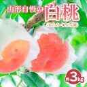 山形自慢の白桃 秀品 3kg (柔らかくなる桃） FY24-008