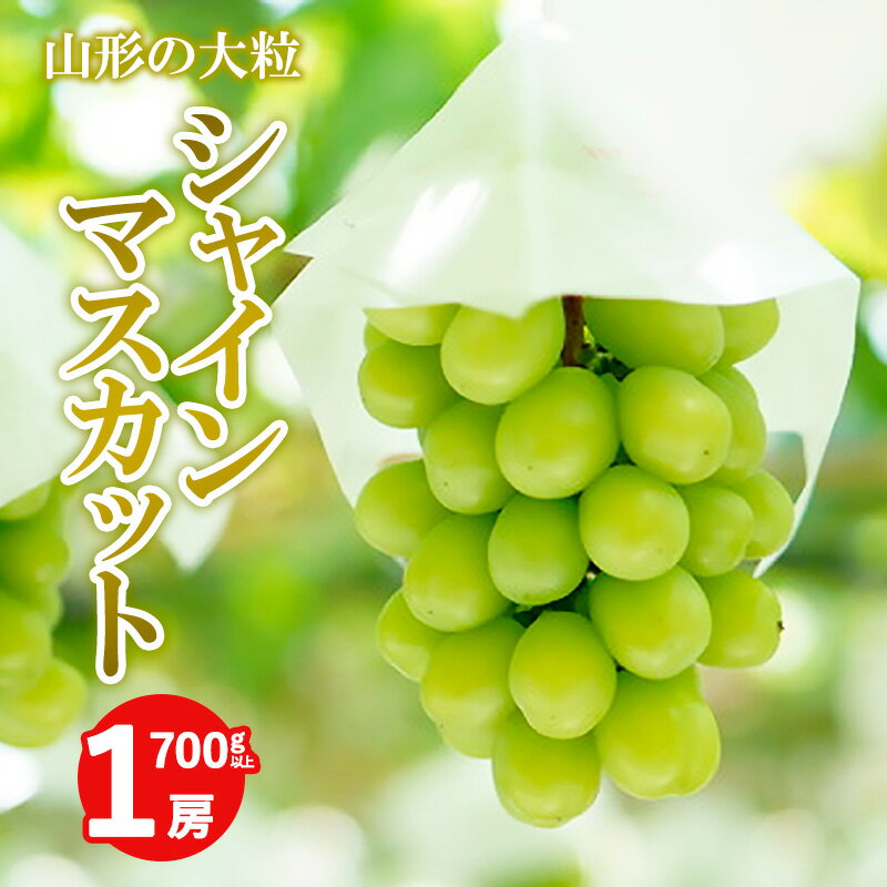 山形の大房シャインマスカット 700g以上 1房 FY24-009