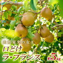 商品説明 名称 山形果実の女王 口どけラ・フランス 産地名 山形産 内容量 山形産ラ・フランス 秀品 約5kg(12～23玉) 発送期間 2024年11月01日頃～2024年12月01日頃 ※天候や収穫状況により配送時期が前後する場合がございます。 配送方法 常温 提供元 ノノハナ 西洋なしの女王とも呼ばれるラ・フランス。 初めて見た時は、ゴツゴツした緑色の果物がそんなに美味しいの？と疑問でしたが 追熟して柔らかくなったラ・フランスを食べてみると、とろけるような口どけと、芳醇な香り、梨のジューシーな甘さがクセになり、それ以来ラ・フランスが大好きになりました。 この気持ちをまだ食べたことがない方に知ってもらいたい、好きだけれどもなかなか買えない方にも、美味しい山形のラ・フランスを食べて笑顔になってもらいたいと思っています。 今回はたっぷりと5kgでお届けいたしますので、ご家族や大切な方とお楽しみ下さい。 ※ラフランスは基本的に追熟をしてからお召し上がり頂く果物です。食べ頃の目安を記入してお届けいたしますが、天候や保管状況、好みにより食べ頃は変わりますので、お好みの柔らかさでお召し上がり下さい。 山形連携中枢都市圏における共通返礼品です。関係市町（山形市、寒河江市、村山市、尾花沢市、山辺町、中山町、河北町、西川町、大石田町、又は大江町）で生産されたラ・フランスをお届けします。 事業者：ノノハナ ◆必ずお読みください◆ ◎こちらの商品は常温便にて配送いたします。お受取り後は必ずすぐに中身をご確認ください。 ◎天候や収穫等の状況によりご希望のお品をご用意できない場合であっても、税金の控除等に影響の無いよう、代替品をご用意致します。 (すでに税金の控除等を受けている方への返金は確定申告や修正申告が必要となる場合があります。) ◎「お申し込みの不備」「事前連絡をいただいていない長期不在や転居」「住所不明」「日数が経ってからのお受取り」に対する再出荷は致しかねますのでご了承ください。 ※沖縄・離島への配送は不可とさせていただきます。 ※季節商品のため、お礼の品の配送日の指定は承っておりません。 ※画像はイメージです。画像のものと多少異なる場合があります。 ※商品お受取り後、すぐに商品の状態をご確認ください。お礼の品の発送には万全を期しておりますが、万が一ひどい傷み等があった場合は、写真・画像を添付の上お早めに「山形市ふるさと納税お礼の品事務局」までご連絡ください。尚、お時間が過ぎてからの対応は致しかねます。 ・ふるさと納税よくある質問はこちら ・寄附申込みのキャンセル、返礼品の変更・返品はできません。あらかじめご了承ください。「ふるさと納税」寄附金は、下記の事業を推進する資金として活用してまいります。 寄附を希望される皆さまの想いでお選びください。 1　市政一般 2　健康の保持・増進 3　健やかな子どもの育成 4　地域共生社会の実現 5　創造都市の推進 6　地域経済の活性化 7　山形ブランドの浸透と交流拡大 8　都市の活動を支える基盤整備 9　環境保全 10　チャレンジ環境の創出等 入金確認後、注文内容確認画面の【注文者情報】に記載の住所にお送りいたします。 発送の時期は、寄附確認後2週間程度で、お礼の品とは別にお送りいたします。