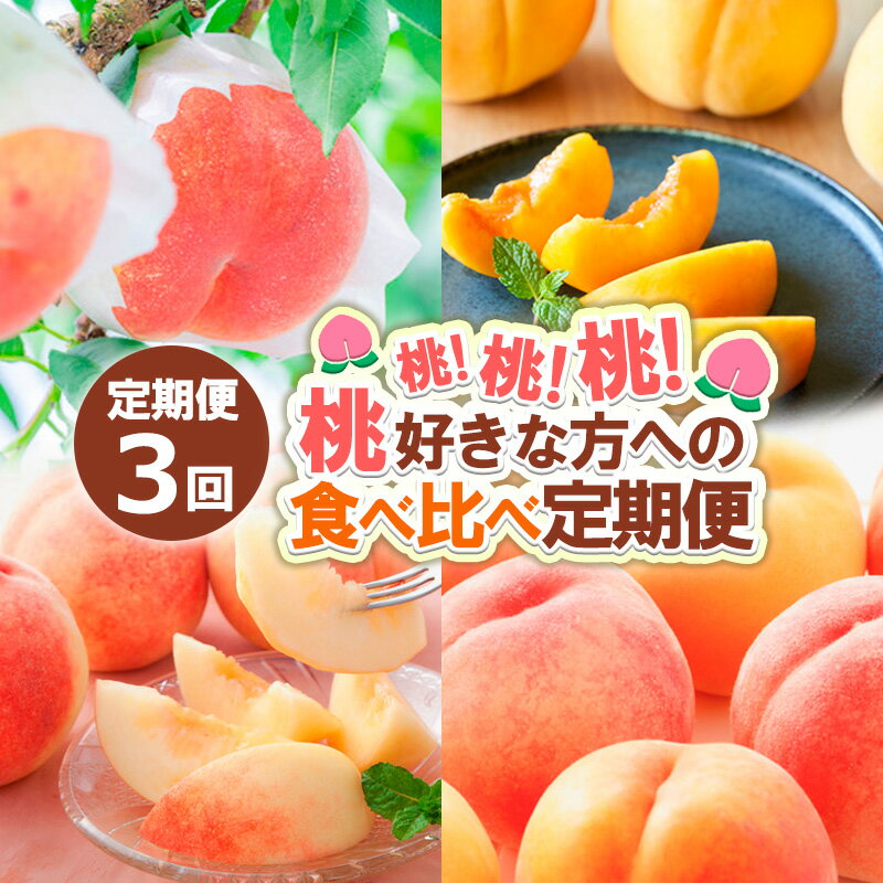【ふるさと納税】【定期便3回】桃!桃!桃!桃好きな方への食べ比べ定期便【令和7年産先行予約】 FS24-017くだもの 果物 フルーツ 山形 山形県 山形市 お取り寄せ 2025年産