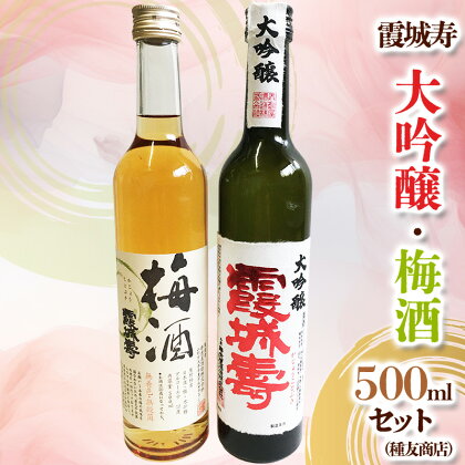 霞城寿 大吟醸・梅酒 500ml×2本セット[種友酒店] FY24-025