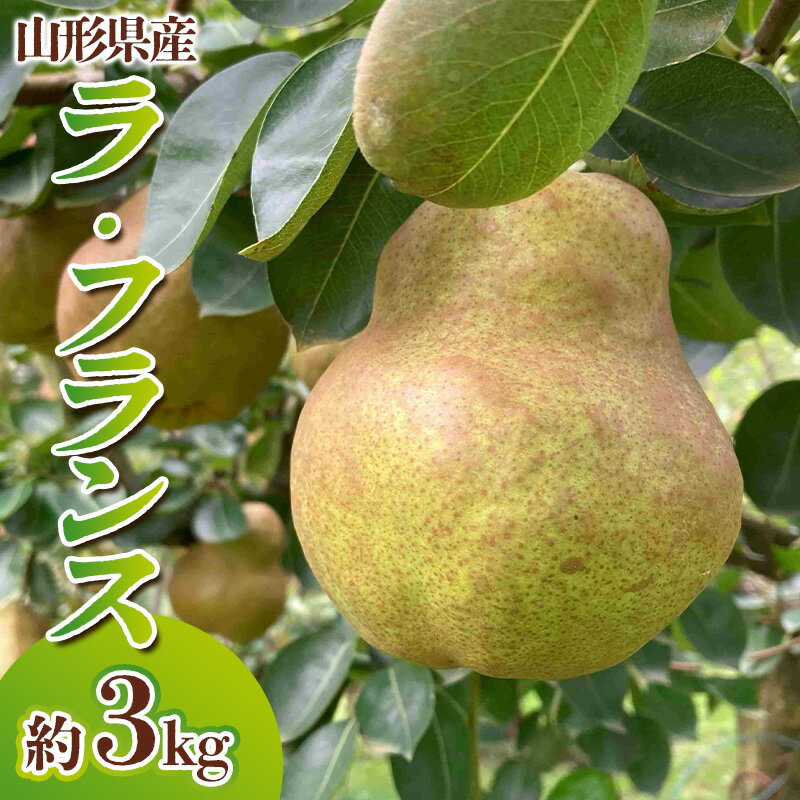 山形県産 ラ・フランス 秀品 約3kg(6〜12玉) FY24-027