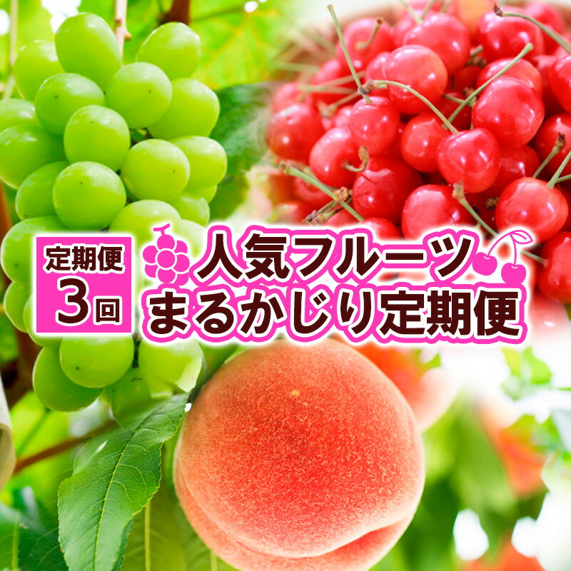 [定期便3回]人気フルーツ まるかじり定期便 [2024年〜2025年 お届け] FY24-030