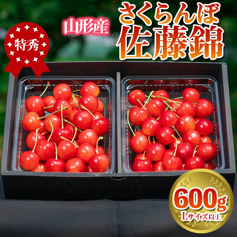 【ふるさと納税】さくらんぼ 「佐藤錦」 600g 特秀品 Lサイズ以上 山形産 FY24-031