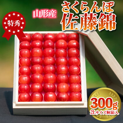 さくらんぼ 「佐藤錦」 300g 特秀品 2Lサイズ 桐箱入 山形産 FY24-033