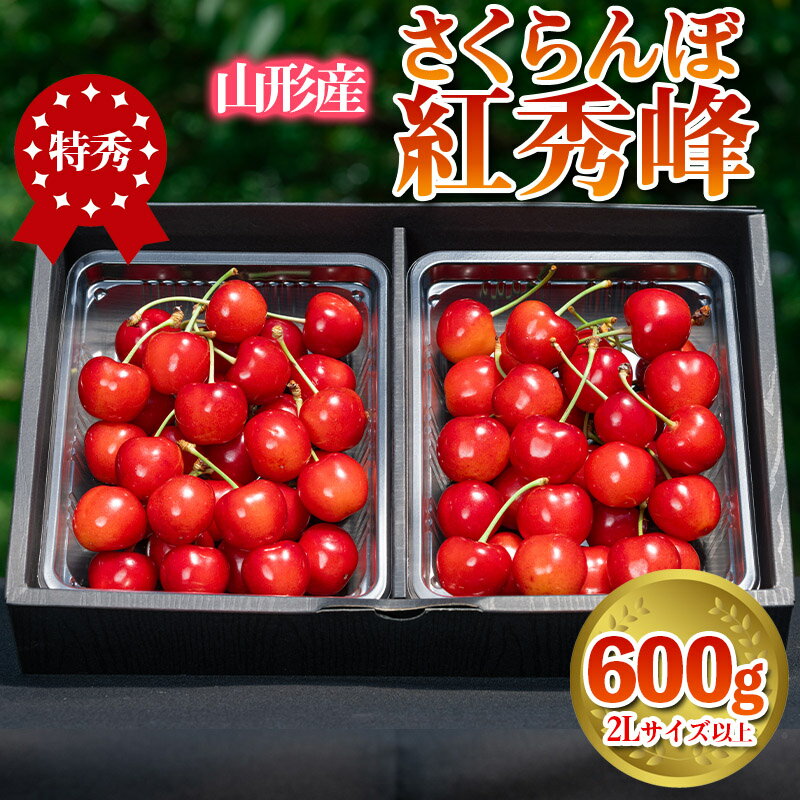 【ふるさと納税】さくらんぼ 「紅秀峰」 600g 特秀品 2Lサイズ以上 山形産 FY24-037