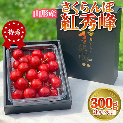 さくらんぼ 「紅秀峰」 300g 特秀品 2Lサイズ以上 山形産 FY24-038