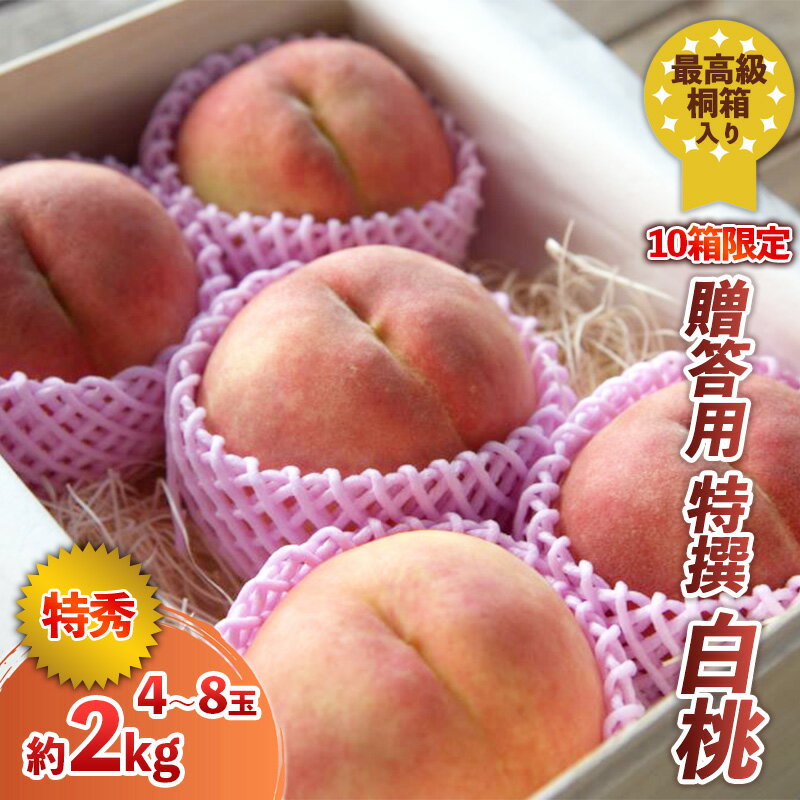 【ふるさと納税】最高級桐箱入り 贈答用 特撰 白桃 約2kg (10箱限定) FY24-045