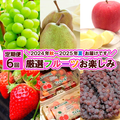 【定期便6回】厳選フルーツお楽しみ＼2024年 秋 ～2025年 夏 お届けです！／ FY24-078