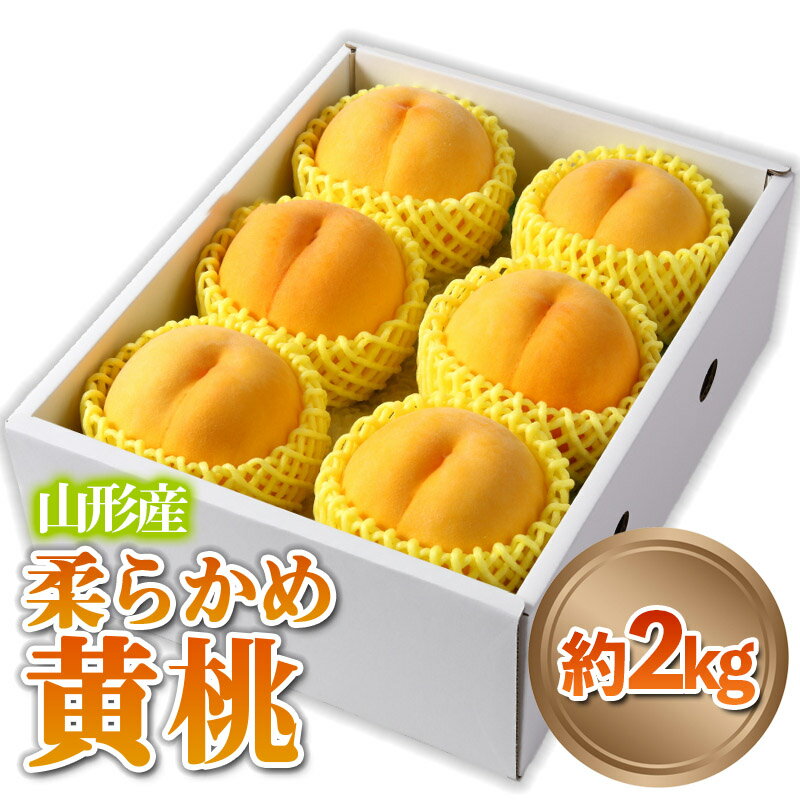 山形産 黄桃 秀品 約2kg (5玉〜8玉) 品種おまかせ FY24-082