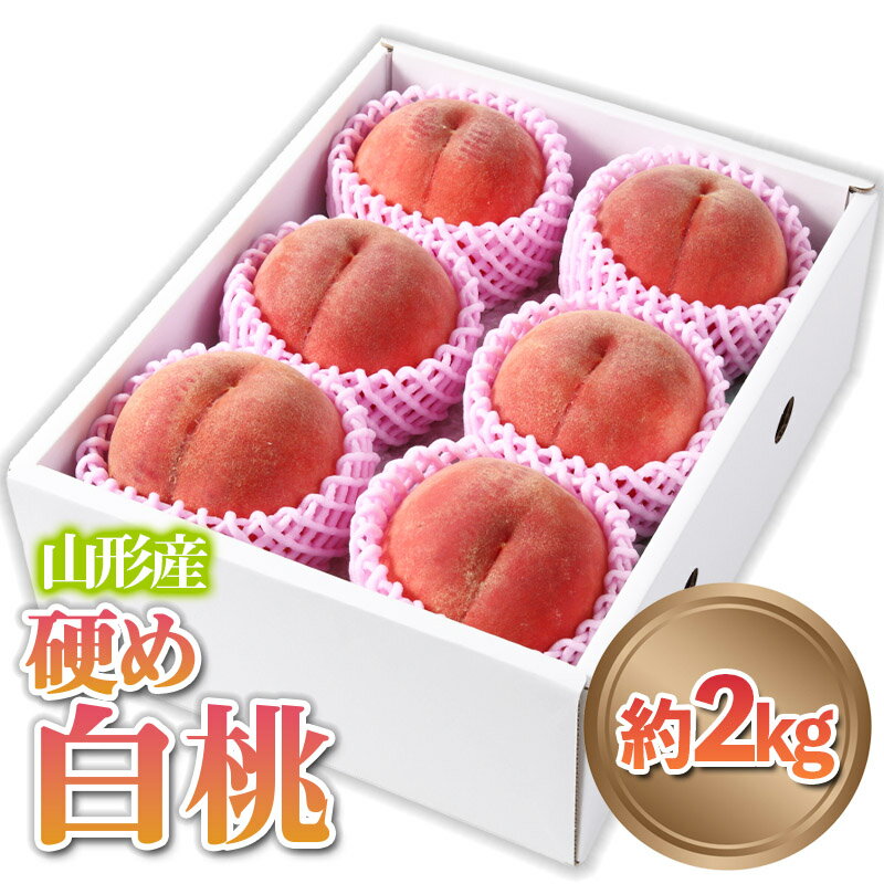 山形産 硬め 「白桃」 秀品 約2kg (5玉〜8玉) FY24-083