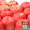 【ふるさと納税】【家庭用】山形のりんご サンふじ 約10kg(24〜50個) FY25-830