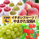【ふるさと納税】【定期便4回】イチオシフルーツ!やまがた宝箱A FY25-823