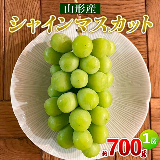 【ふるさと納税】シャインマスカット 約700g 1房 FY25-003 【ふるさと納税】シャインマスカット 約700g 1房 FY25-003