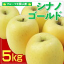 【ふるさと納税】☆フルーツ王国山形☆ りんご (シナノゴールド)秀品 5kg FY25-057(4)