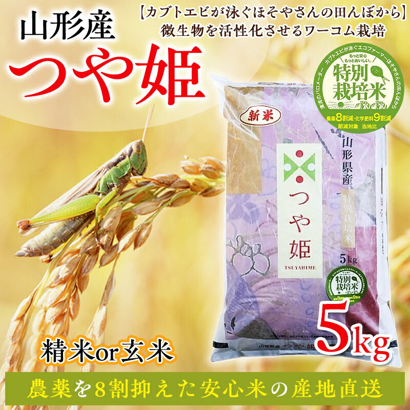 ڤդ뤵Ǽǡ6ǯٻ֤Ĥɱ5kg̺8为9为ˡڥ֥ȥӤˤۤ䤵ĤܤʪFY25-096