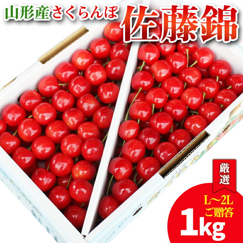 【ふるさと納税】【厳選 ご贈答 バラ詰め】本場 山形産 さくらんぼ 佐藤錦 1kg(L~2Lサイズ) FY25-097
