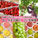 【ふるさと納税】【定期便5回】明治9年にさくらんぼの栽培を開始したやまや園の嬉しい定期便 FY25-256