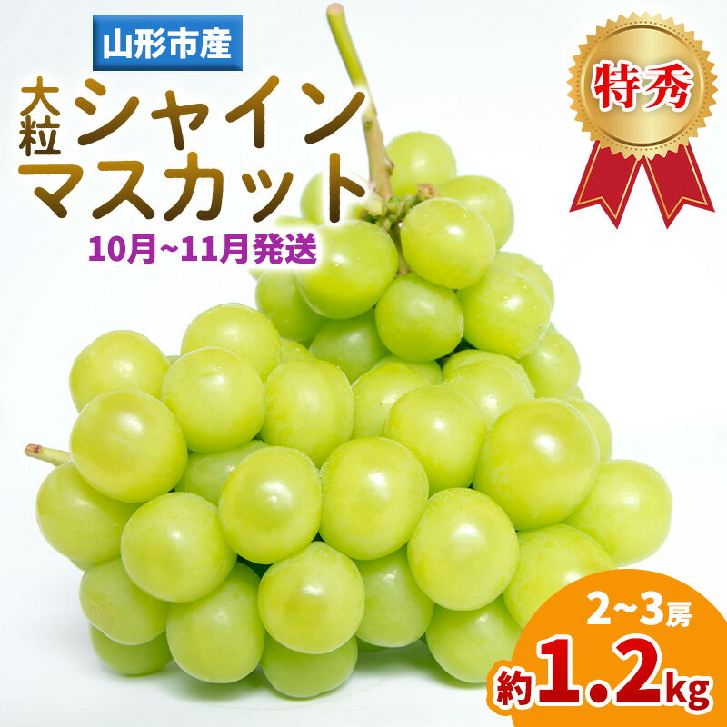 ڤդ뤵Ǽǡۻγ㥤ޥå1.2g(23˼)(1011ȯʬ)FY25-283