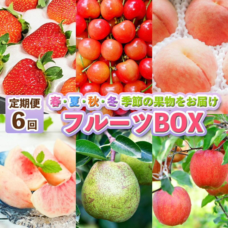 ڤդ뤵Ǽǡۡ6ۥե롼BOX-6-FY25-287