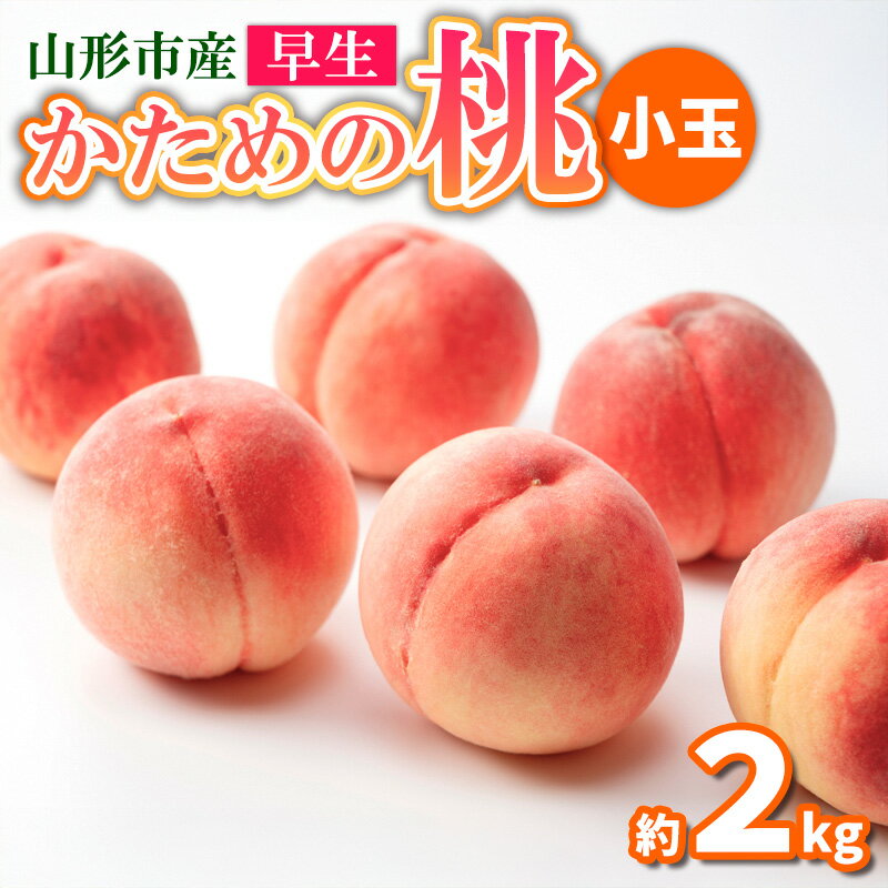 ڤդ뤵Ǽǡۤ2kg(712)[ĤĤɱޤɤ۲ޤ椦]FY25-293