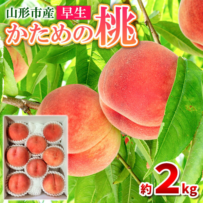 ڤդ뤵Ǽǡۤ2kg(69)[ĤĤɱޤɤ۲ޤ椦]FY25-294