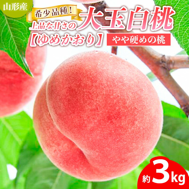 【ふるさと納税】希少品種！！上品な甘さの大玉白桃【ゆめかおり】約3kg [やや硬めの桃] 【令和8年産先行予約】 FS25-650 くだもの 果物 フルーツ 山形 山形県 山形市 お取り寄せ 2026年産