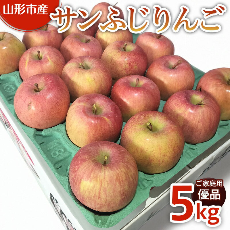 【ふるさと納税】【ご家庭用】サンふじリンゴ 5kg (12～20玉) FY25-359