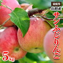 【ふるさと納税】【家庭用】山形産 サンふじりんご 優品以上 5kg FY25-817(4)