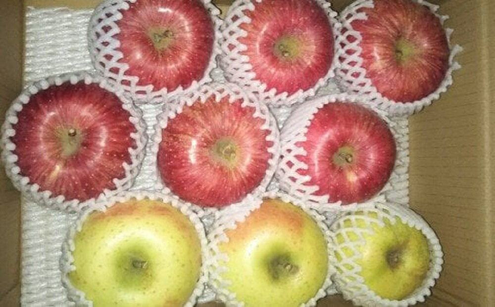 【ふるさと納税】【令和7年産】りんご 2種 詰め合わせ (ふじ 金星) 計 3kg【12月上旬～お届け】2025年産 リンゴ 林檎 2種類 詰合せ セット ふじ 5～8玉 金星 2～3玉 産地直送 直送 農家直送 フルーツ 山形県 米沢市